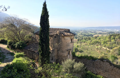 Logo Campagne Bertani